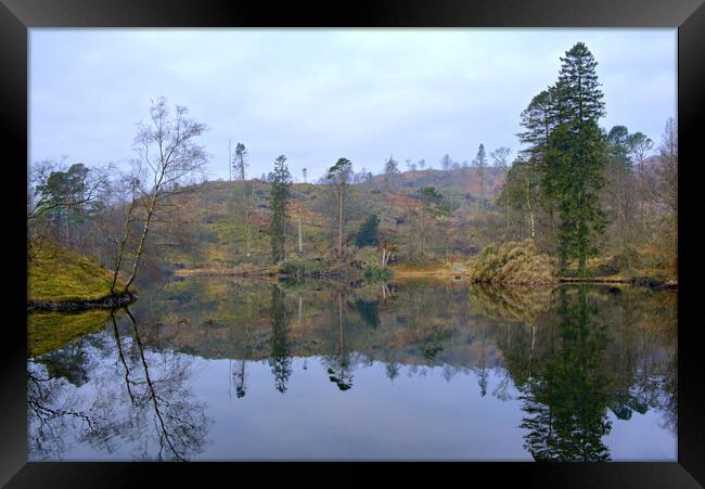 Serene Tarn Hows Framed Print by Steve Smith