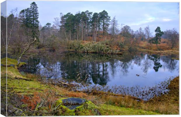 Tarn Hows Lake District Canvas Print by Steve Smith