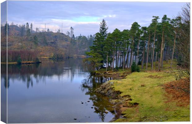 Tarn Hows Lake District Canvas Print by Steve Smith