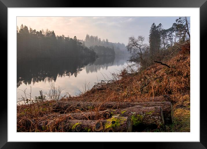 Tarn Hows Landscape Framed Mounted Print by Tim Hill
