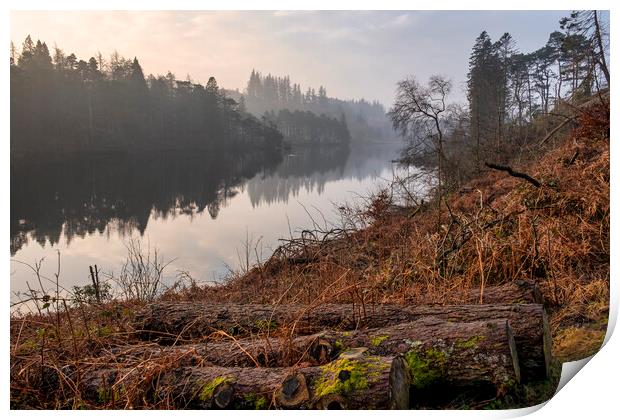 Tarn Hows Landscape Print by Tim Hill