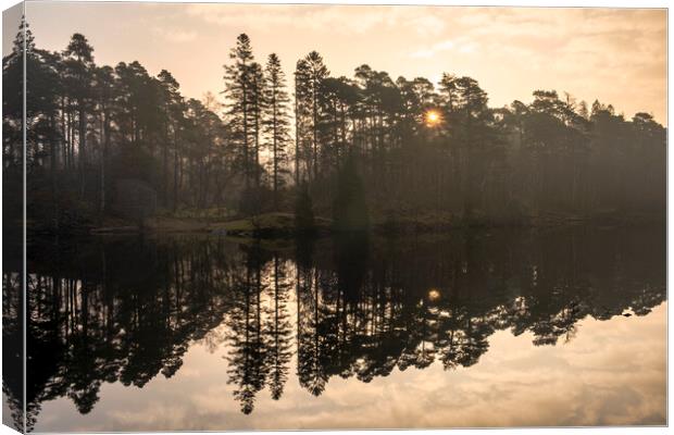 Sunrise at Tarn Hows Canvas Print by Tim Hill