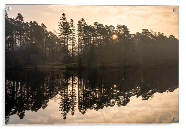 Sunrise at Tarn Hows Acrylic by Tim Hill