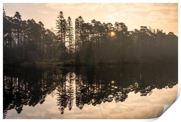 Sunrise at Tarn Hows Print by Tim Hill