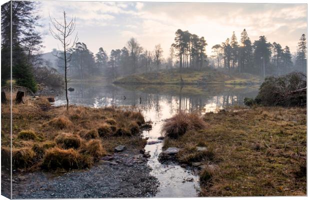 Serene Reflections at Misty Tarn Hows Canvas Print by Tim Hill