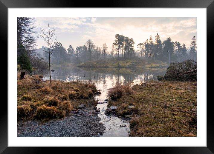 Serene Reflections at Misty Tarn Hows Framed Mounted Print by Tim Hill