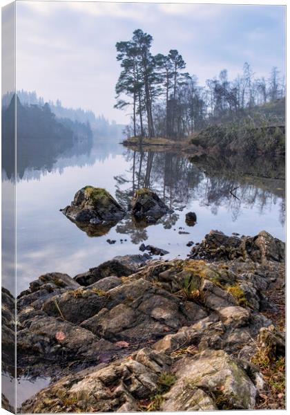Tarn Hows Landscape Canvas Print by Tim Hill
