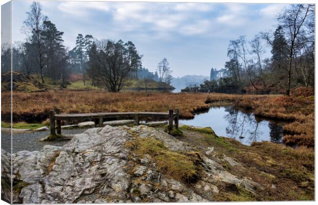 Tarn Hows Bench Canvas Print by Tim Hill