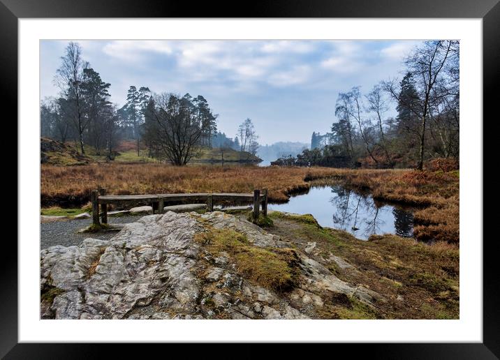 Tarn Hows Bench Framed Mounted Print by Tim Hill