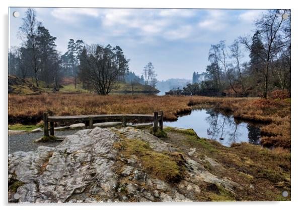 Tarn Hows Bench Acrylic by Tim Hill