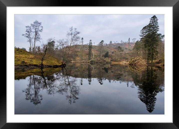 Tarn Hows Reflections Framed Mounted Print by Tim Hill