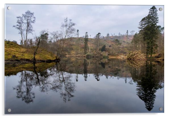 Tarn Hows Reflections Acrylic by Tim Hill