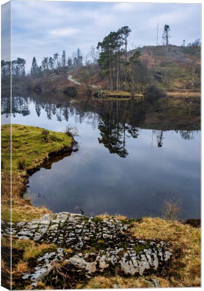 Tarn Hows Landscape Canvas Print by Tim Hill