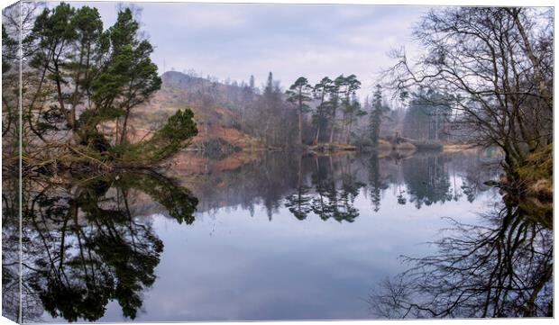 Misty Tarn Hows Reflections Canvas Print by Tim Hill