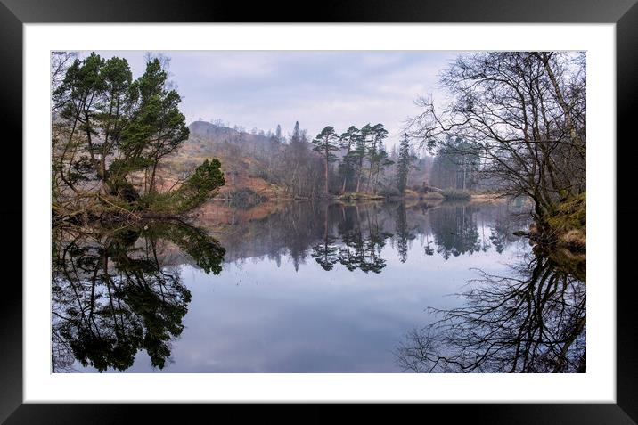 Misty Tarn Hows Reflections Framed Mounted Print by Tim Hill