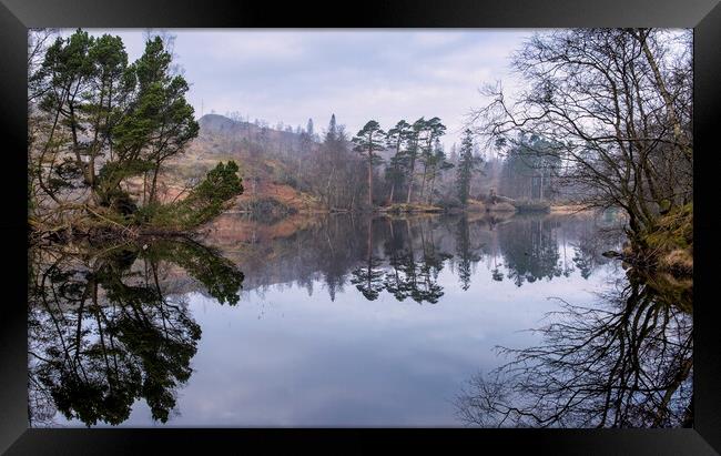 Misty Tarn Hows Reflections Framed Print by Tim Hill