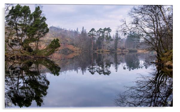 Misty Tarn Hows Reflections Acrylic by Tim Hill