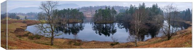 Tarn Hows Lake District Canvas Print by Tim Hill