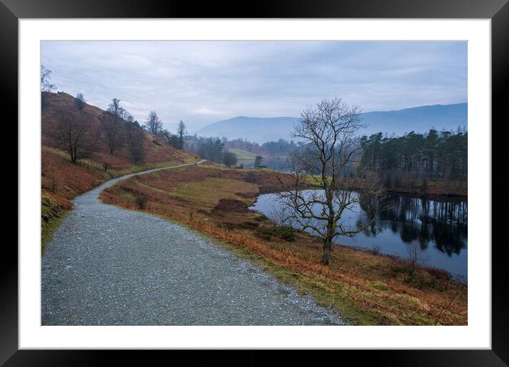 Tarn Hows Lake District Framed Mounted Print by Tim Hill