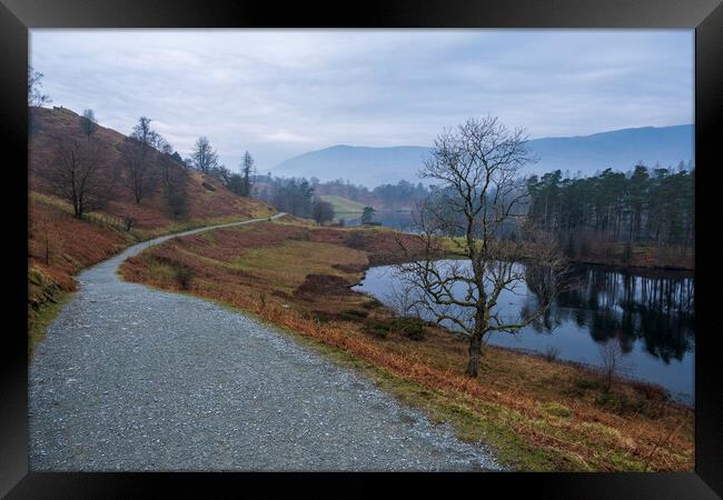 Tarn Hows Lake District Framed Print by Tim Hill