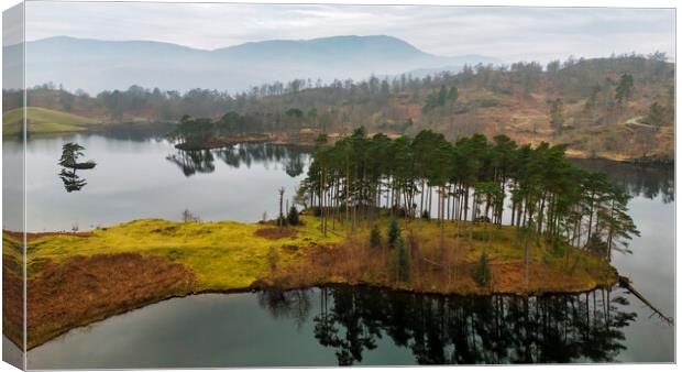 Tarn Hows from Above Canvas Print by Tim Hill