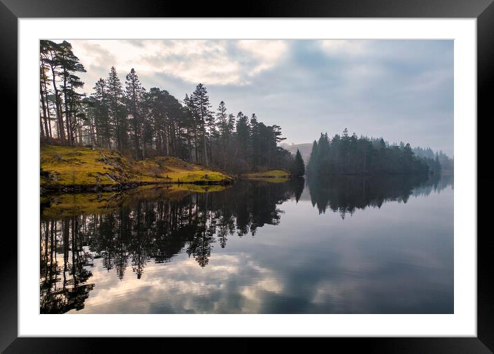 Tarn Hows Reflections Framed Mounted Print by Tim Hill