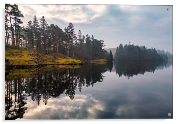 Tarn Hows Reflections Acrylic by Tim Hill