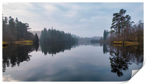 Tarn Hows Reflections Print by Tim Hill