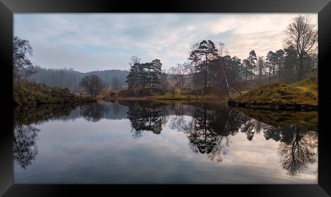 Tarn Hows Reflections Framed Print by Tim Hill