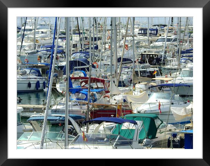 Boats  Framed Mounted Print by Les Schofield