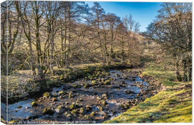 Straw Beck, Muker, Swaledale, Yorkshire Dales Canvas Print by Richard Laidler