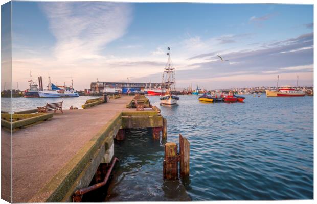 Majestic Seagull Soaring Over Bridlington Pier Canvas Print by Tim Hill