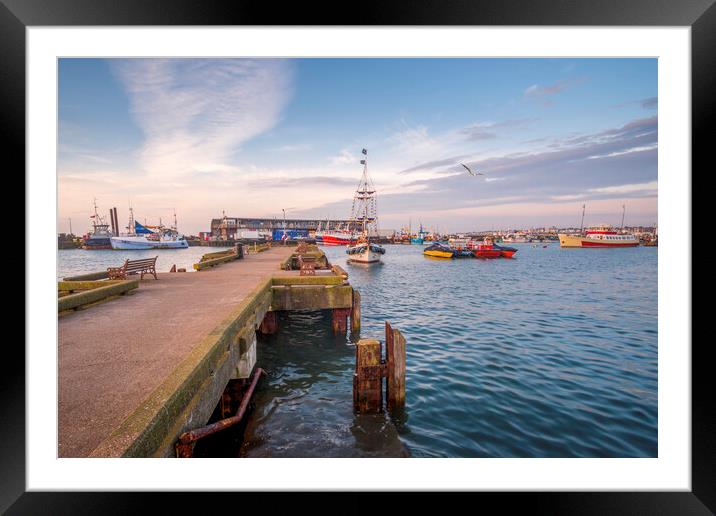 Majestic Seagull Soaring Over Bridlington Pier Framed Mounted Print by Tim Hill