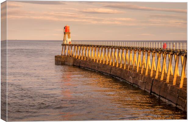 Whitby East Pier Extension Canvas Print by Tim Hill