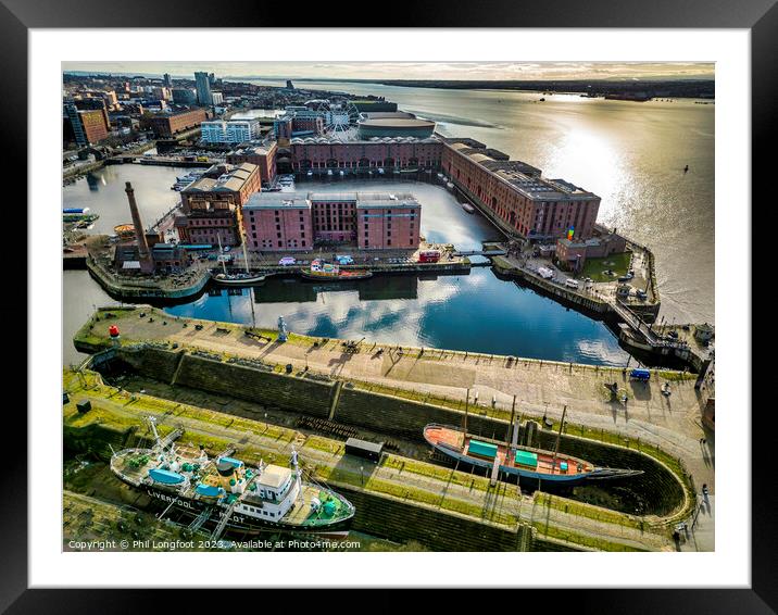 Royal Albert Dock docklands from the air Framed Mounted Print by Phil Longfoot