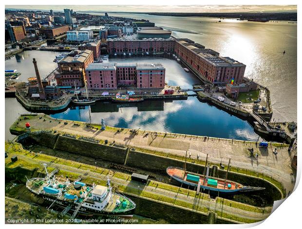 Royal Albert Dock docklands from the air Print by Phil Longfoot