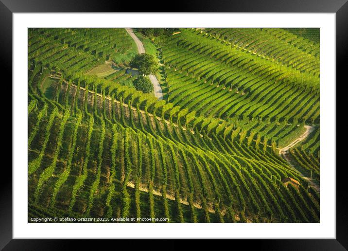 Langhe, roads and trees among the vineyards, Piedmont, Italy Framed Mounted Print by Stefano Orazzini