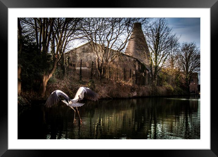 Heron and the Red Cone Framed Mounted Print by Steve Taylor