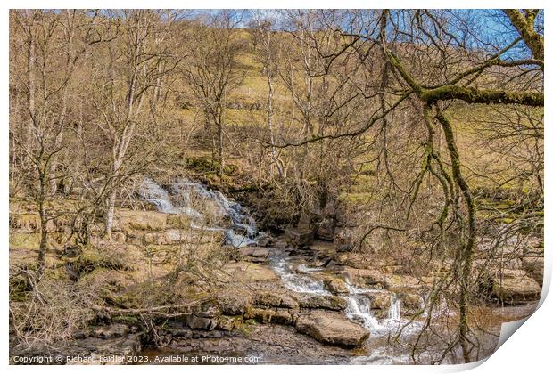 East Gill meets the River Swale, Yorkshire Dales Print by Richard Laidler