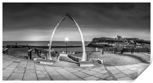 Whitby Whalebones Black and White Print by Tim Hill