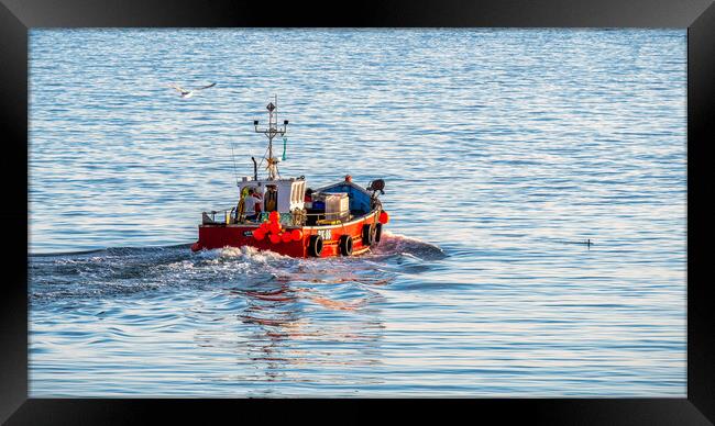 Seahouses fishing boat heads out to sea Framed Print by Tim Hill