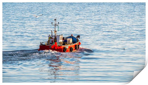 Seahouses fishing boat heads out to sea Print by Tim Hill