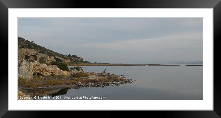 Distant Land Framed Mounted Print by Tracie Mills