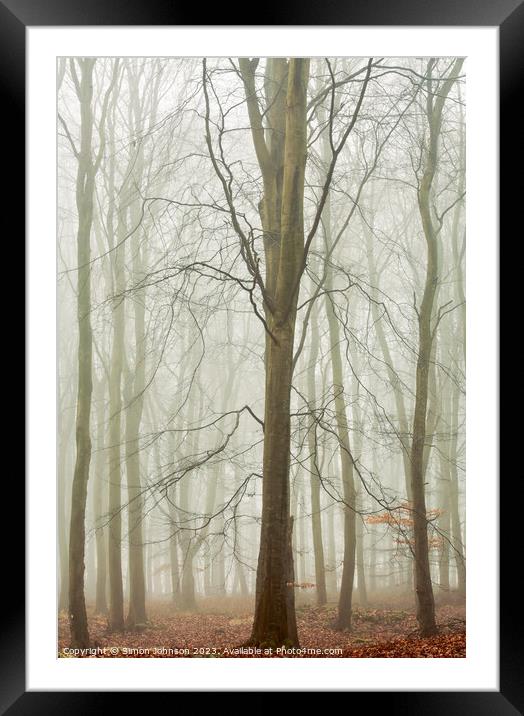 woodland architecture  Framed Mounted Print by Simon Johnson