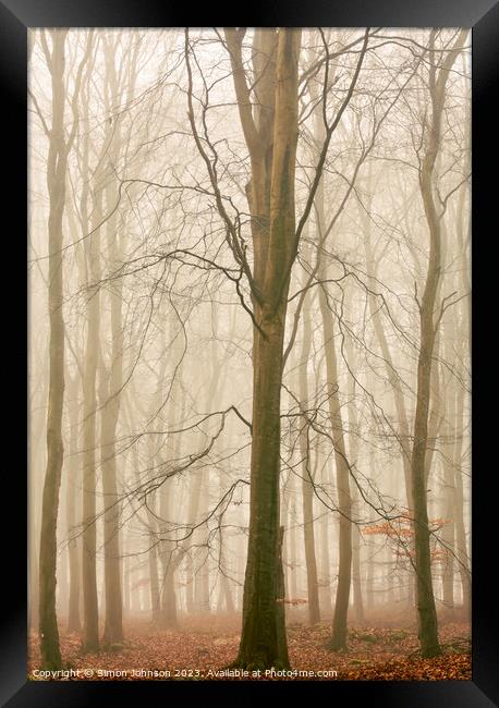 Woodland architecture  Framed Print by Simon Johnson