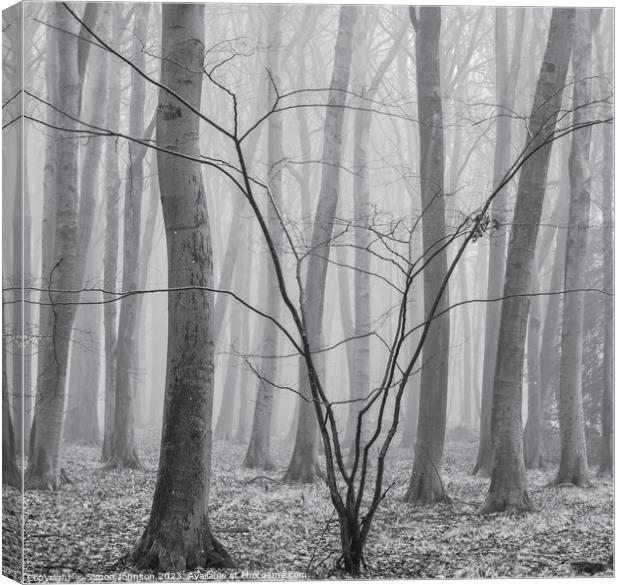 Woodland  architecture  Canvas Print by Simon Johnson