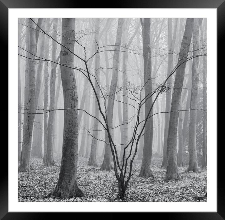 Woodland  architecture  Framed Mounted Print by Simon Johnson