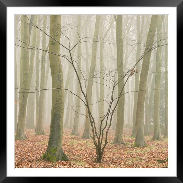 Woodland architecture  Framed Mounted Print by Simon Johnson