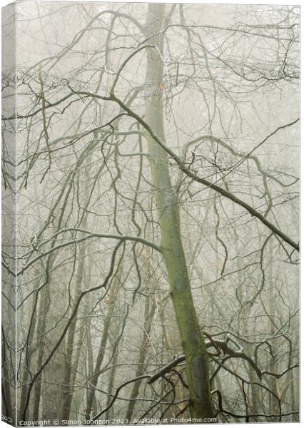 Woodland y Canvas Print by Simon Johnson