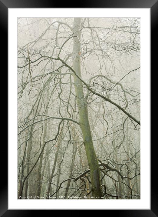 Woodland y Framed Mounted Print by Simon Johnson
